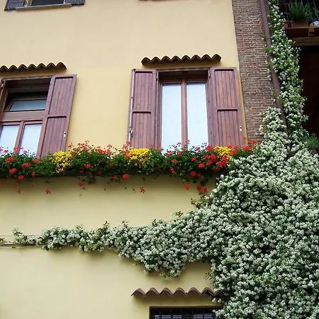 Bed & Breakfast Rosy 4*